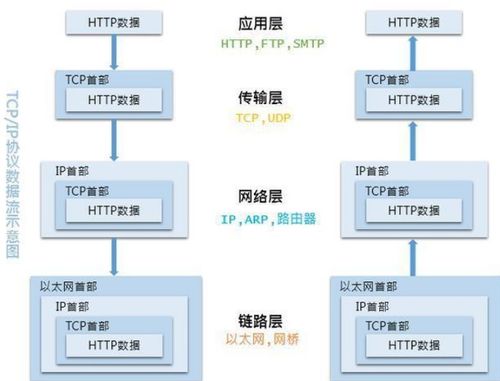 从介质到抽象 计算机网络基础认知的技术透视