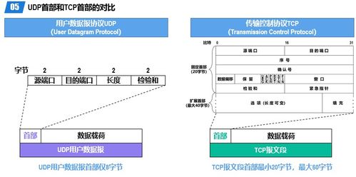 计算机网络5 运输层 数字世界的可靠桥梁与服务保障